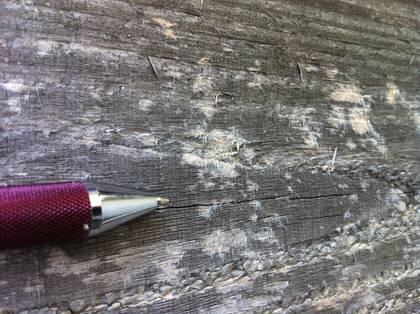 aufgefasertes Holz