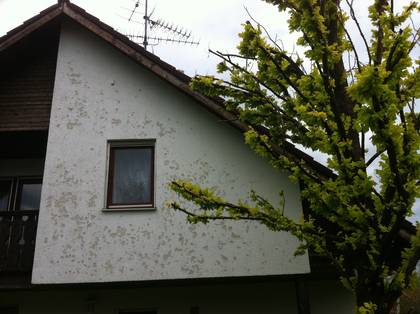 Hagelschaden